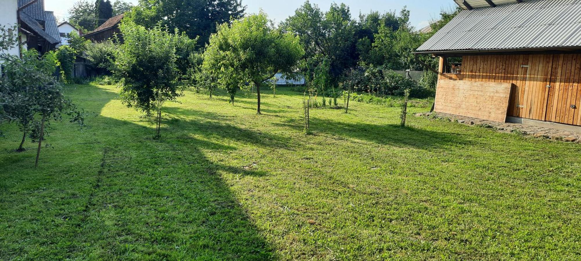 Mura House Vişeu de Sus Екстериор снимка