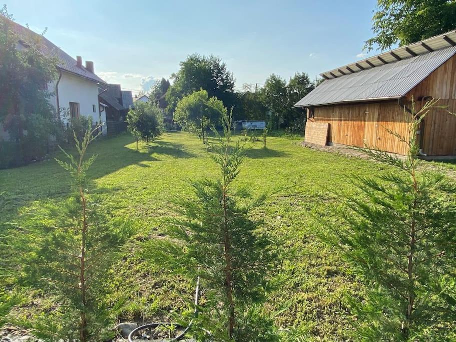 Mura House Vişeu de Sus Екстериор снимка