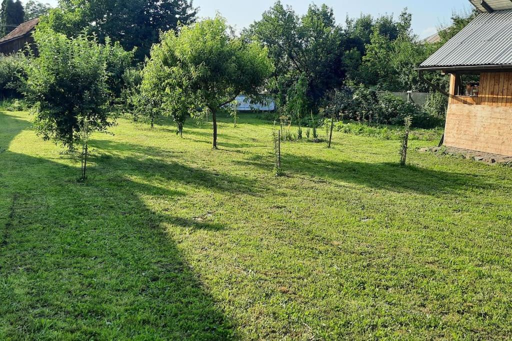 Mura House Vişeu de Sus Екстериор снимка